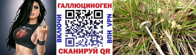 Псилоцибиновые грибы MAGIC MUSHROOMS  hydra ТОР  Минусинск 